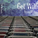 TM NETWORK  / Get Wild Song Mafia